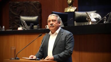 Michoacán, Raúl Morón, Morena