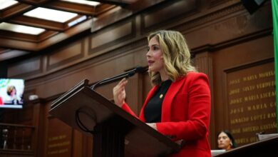 Brissa Arroyo, PRD