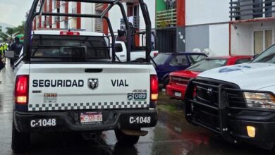 Seguridad Vial