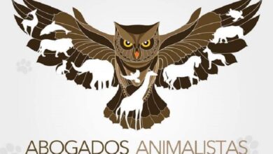 Unidad Antimaltrato, FGE