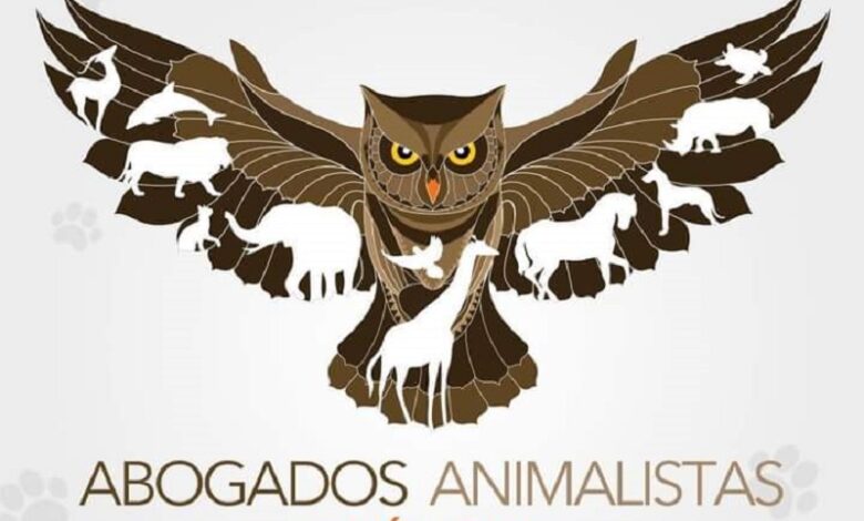 Unidad Antimaltrato, FGE