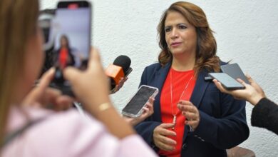 Fabiola Alanís, 4T