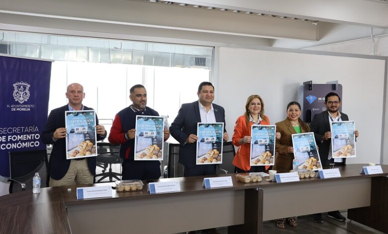 Sefeco Morelia
