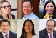Los Suspirantes, Perfiles a la baja