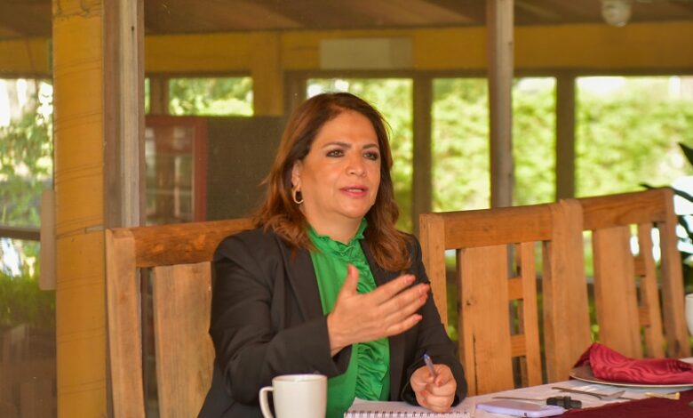 Fabiola Alanís, Morena