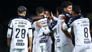 Gallos Blancos