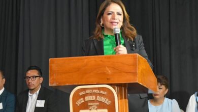 Fabiola Alanís, 4T
