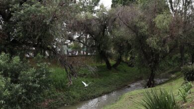 Parque Lineal, Morelia