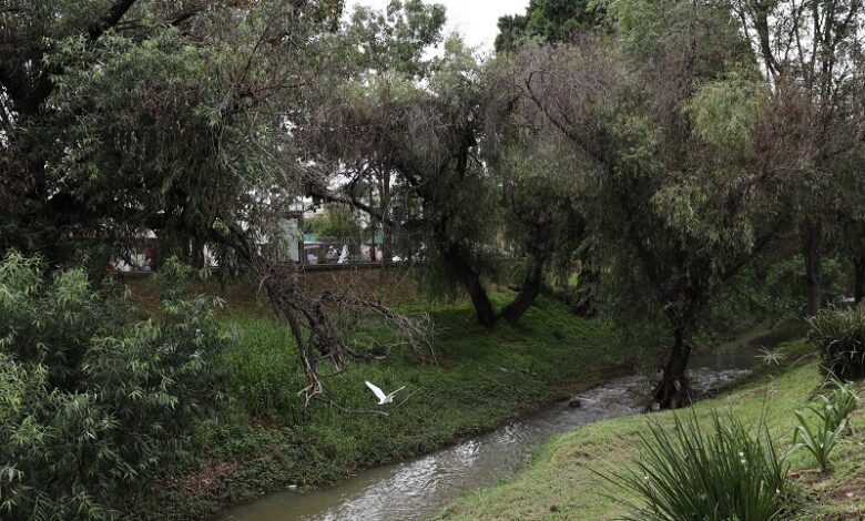 Parque Lineal, Morelia