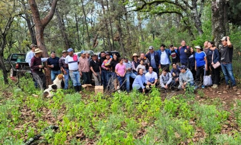 Acción Juvenil, reforestación, Michoacán