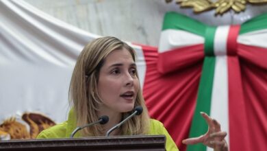 Brissa Arroyo, PRD