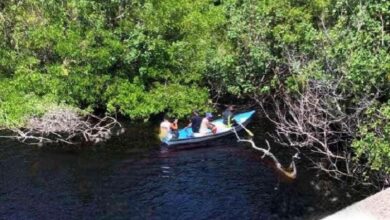 menor devorado, cocodrilos, Lázaro Cárdenas
