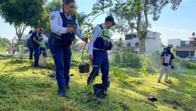 Policía Morelia, reforestación