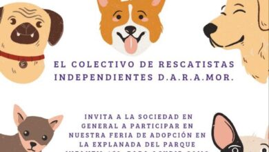 Rescatistas Independientes
