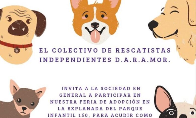 Rescatistas Independientes