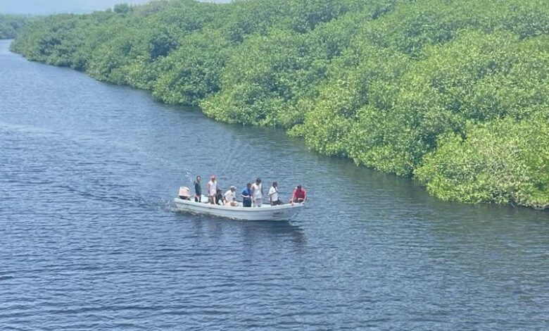 Lancha en estero de Santa Ana