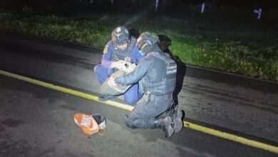 Neutralizan explosivo