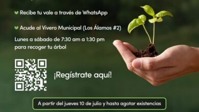 Adopta un Árbol, Morelia