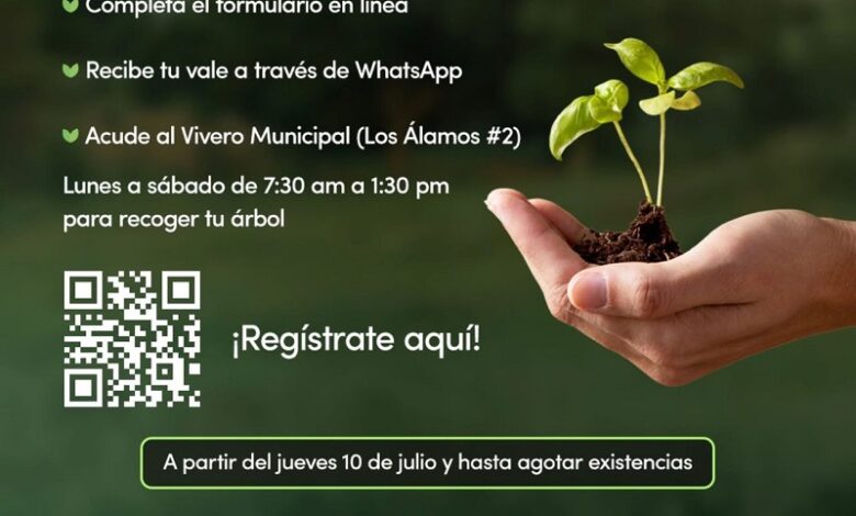 Adopta un Árbol, Morelia