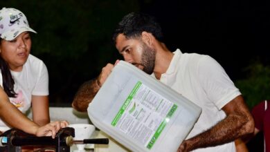 Dengue