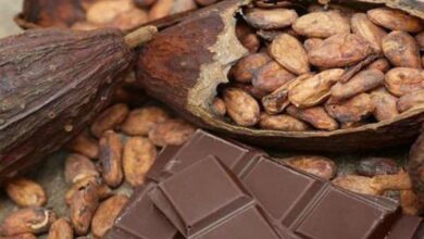 escasez global del cacao