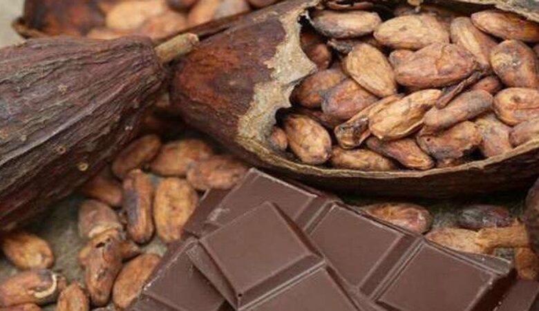 escasez global del cacao