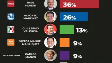 Michoacán, Encuesta política