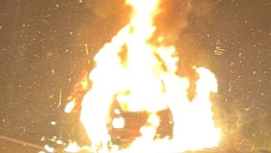 Michoacán, Fuego