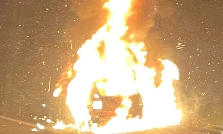 Michoacán, Fuego