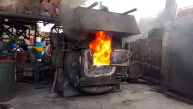 Michoacán, FGR