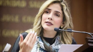 Brissa Arroyo, PRD