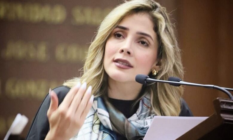 Brissa Arroyo, PRD