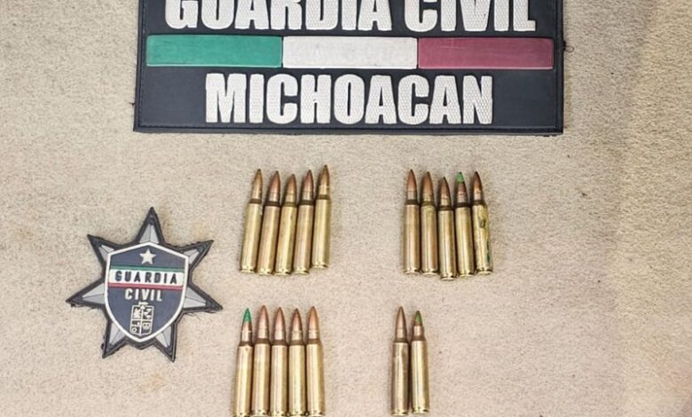 Michoacán, FGE