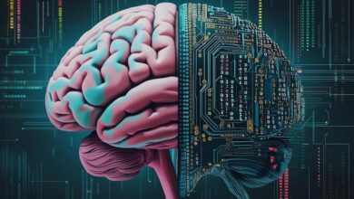 Cerebro e inteligencia artificial