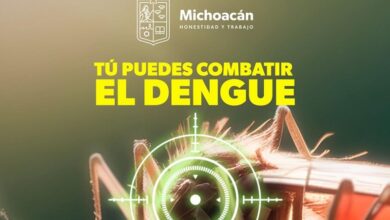 dengue, zika