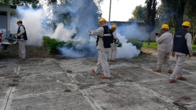 SSM, Dengue