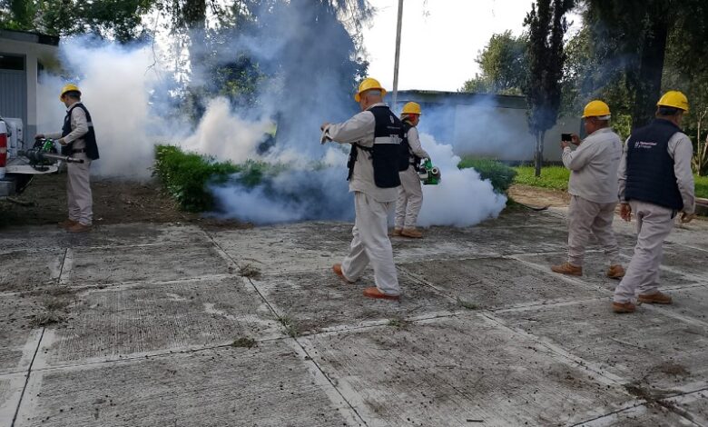 SSM, Dengue