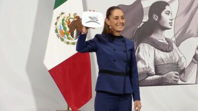 Olinia, Morena