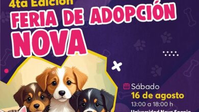 Feria de Adopción, Morelia