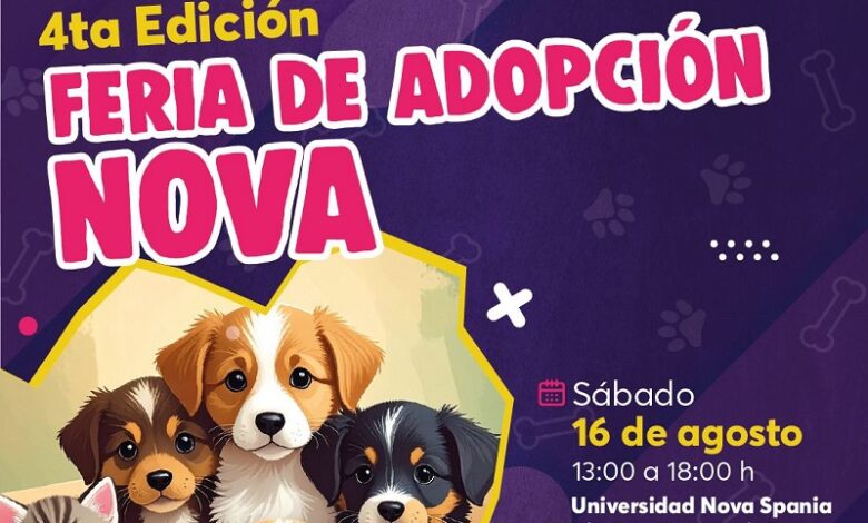 Feria de Adopción, Morelia