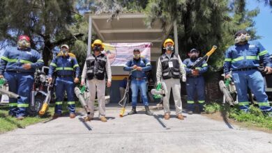 Brigada de combate al dengue