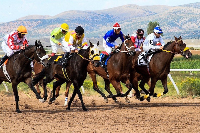 Carrera de caballos