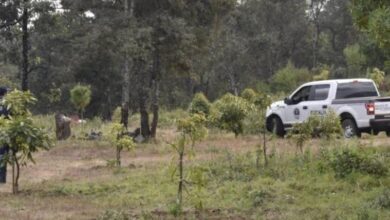 FGE, fosa clandestina