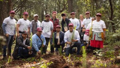 Raúl Morón en reforestación