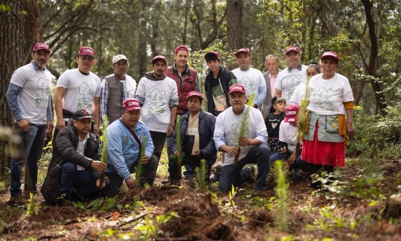Raúl Morón en reforestación