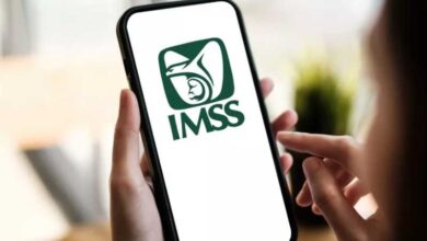 IMSS
