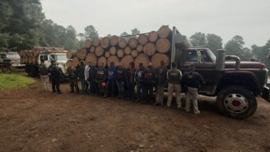 Talamontes detenidos en Senguio