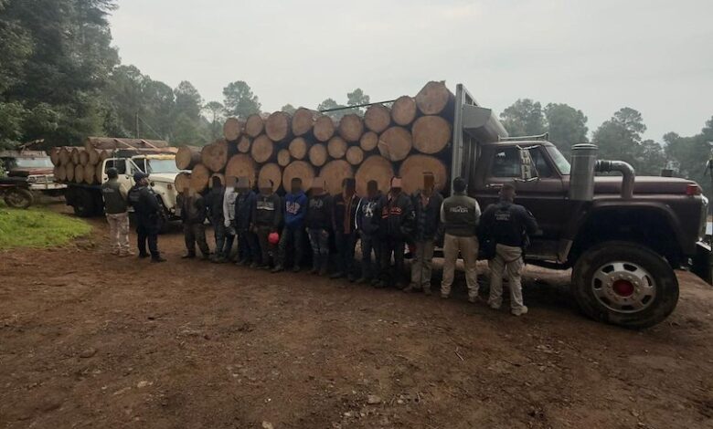 Talamontes detenidos en Senguio