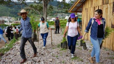 Brissa Arroyo en reforestación