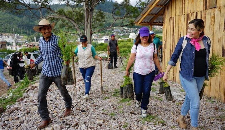 Brissa Arroyo en reforestación